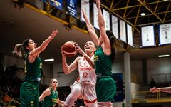 idx3dbf4wmejv1anhlnc