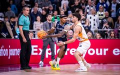 MLP Academics Heidelberg1