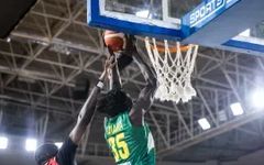 Mali v Angola Condensed