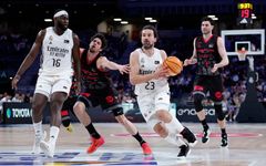 RS898650_J22 RMB-HIO Firmar acb Photo - Sara Gordon